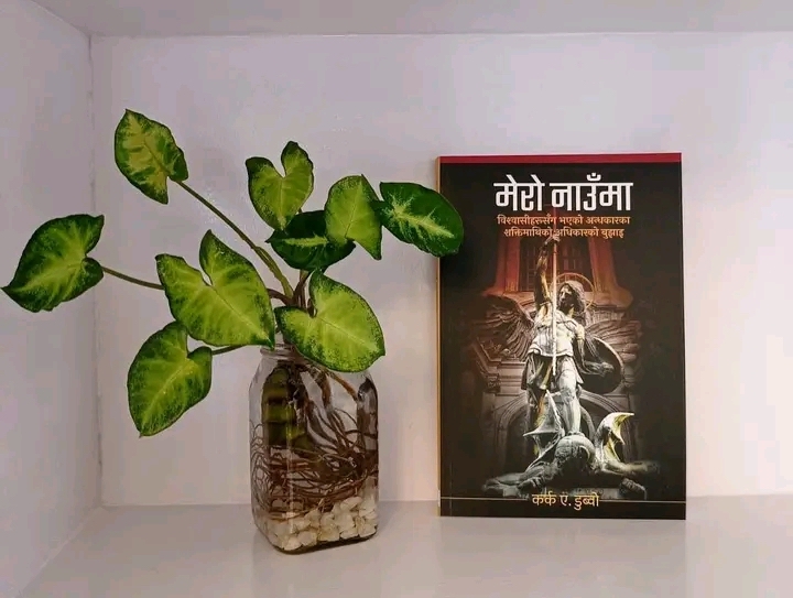 Book image