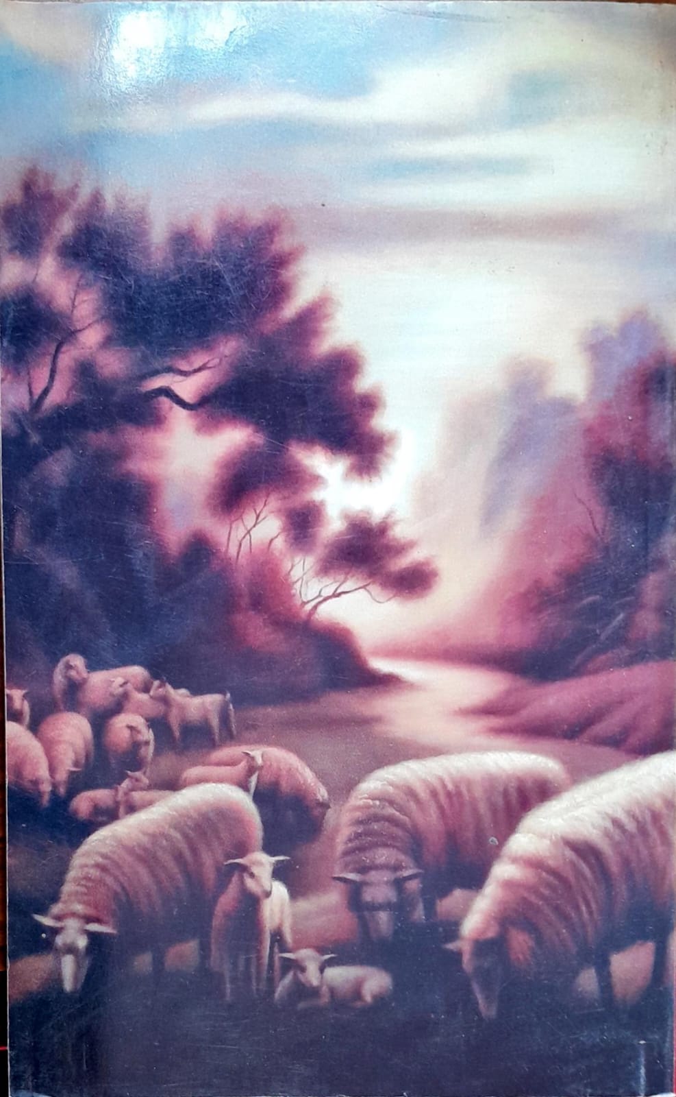 Book image